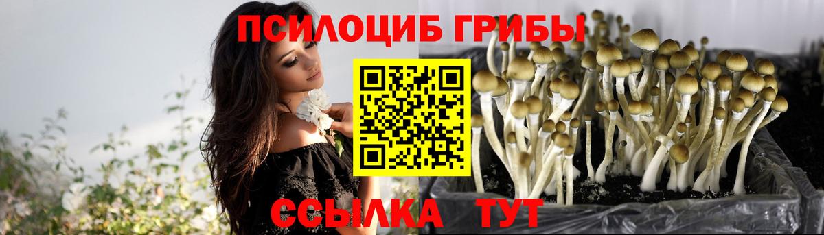 Галлюциногенные грибы мицелий  как найти закладки  Сорочинск  Вход с VPN 